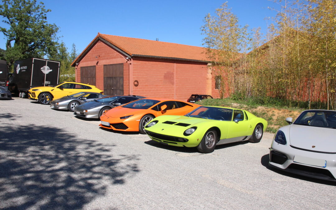 Sortie de printemps autour du Ventoux 2025